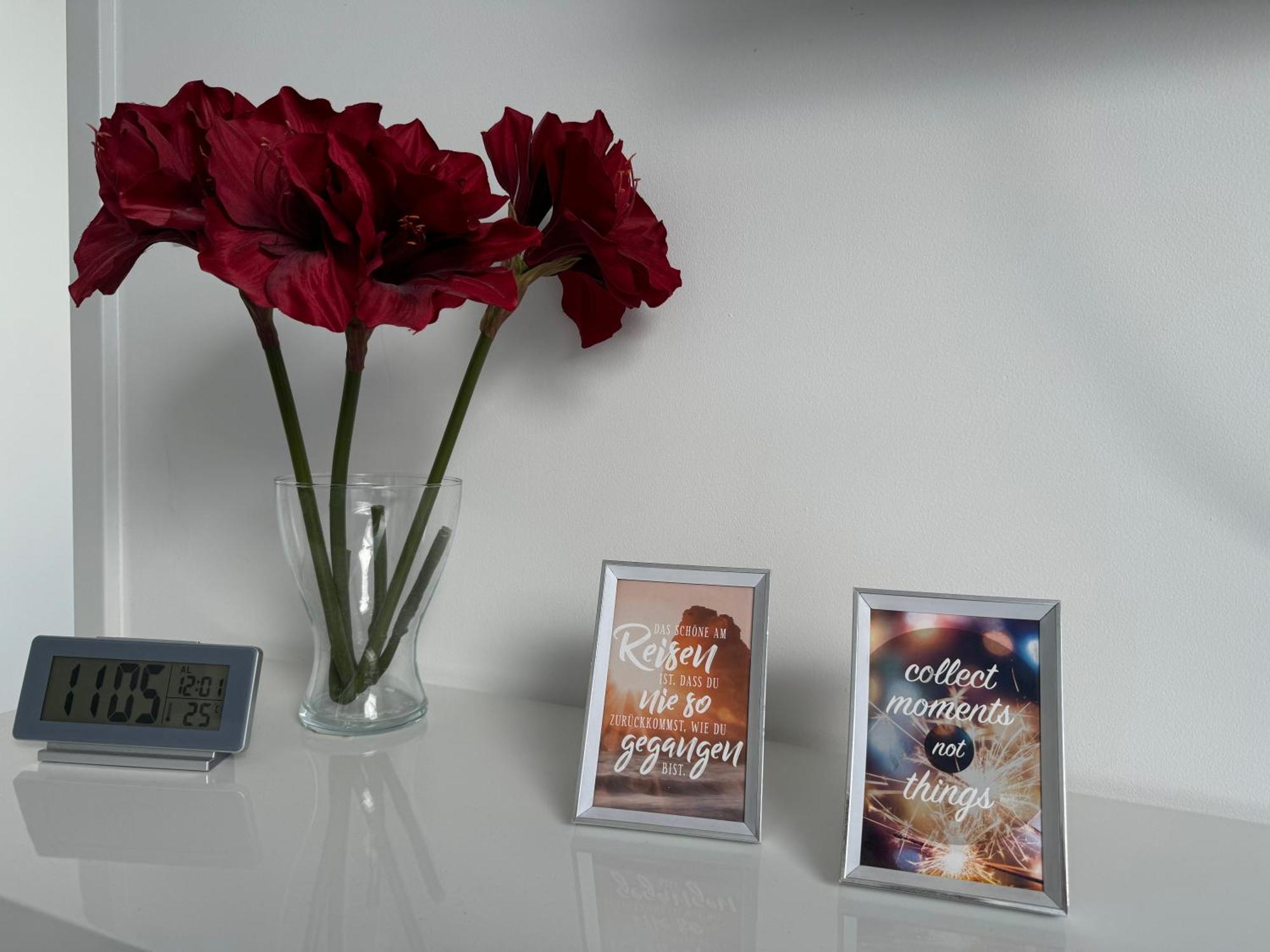 Prime Host Apartments カールスルーエ エクステリア 写真